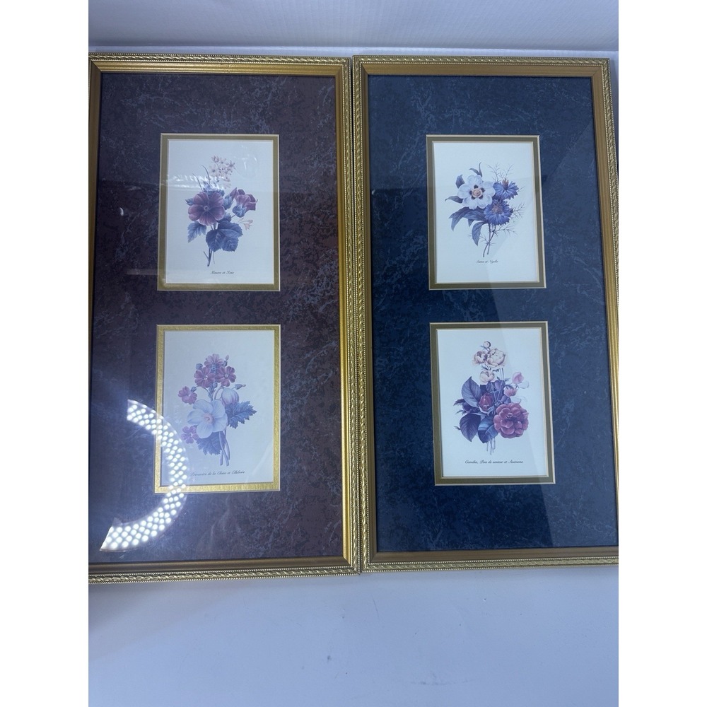 Vintage botanical Art French Gold Frames‎